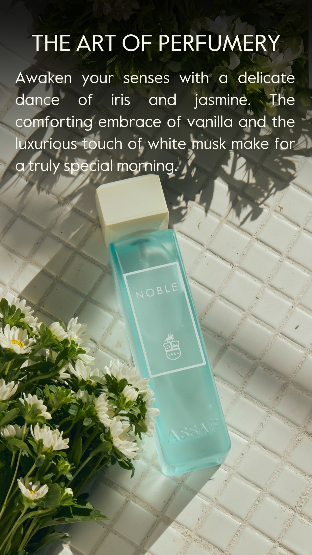 NOBLE ASSAF 200 ml